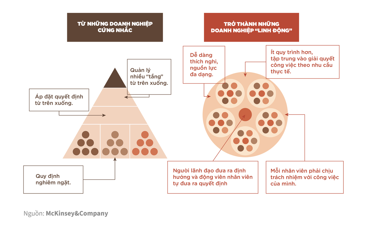 #HRTrending - Quản Trị Nhân Sự Trước “Làn Sóng” Lao Động Gen Z 5 Comparision between triangle and circle management model. Source: McKinsey&Company