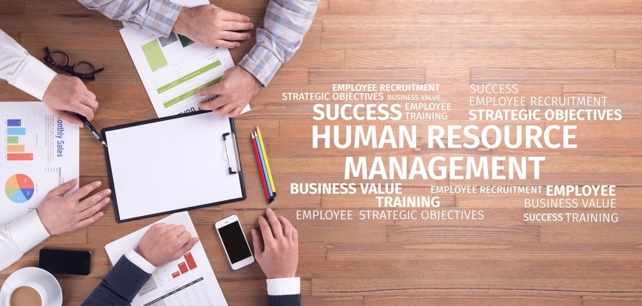 Human Capital Strategy – From Zero to Hero? 4 human resource management